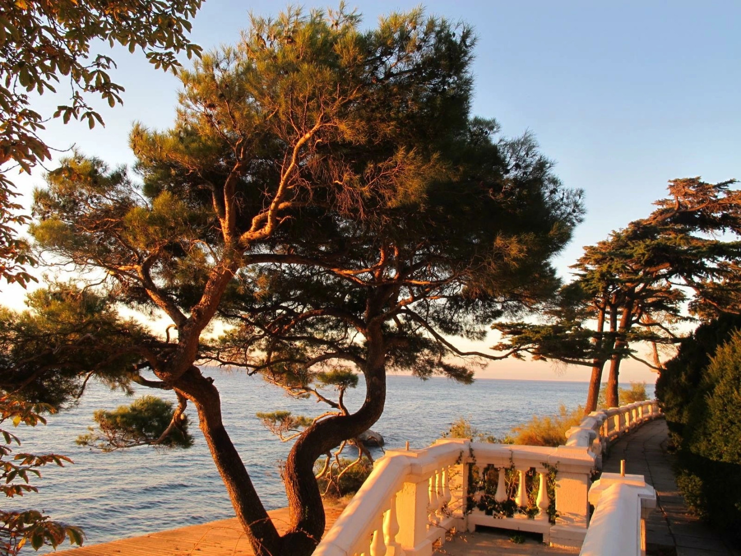 Отель Лиго Морская