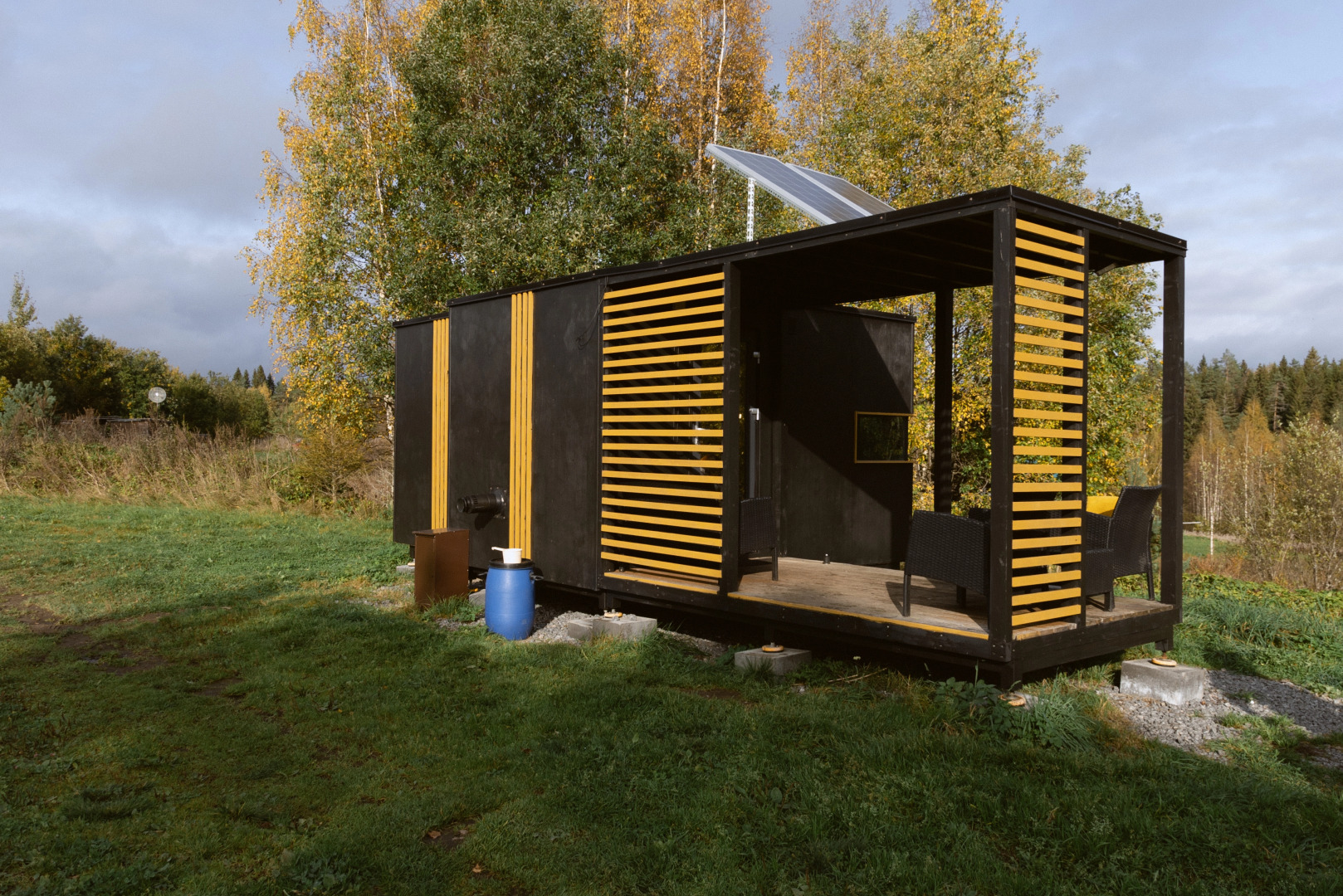 Папоротник