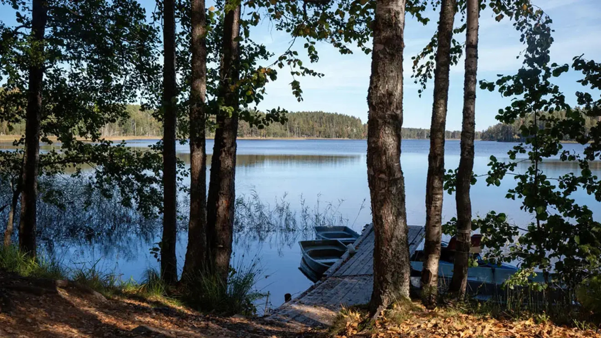 Отель База отдыха Заветное