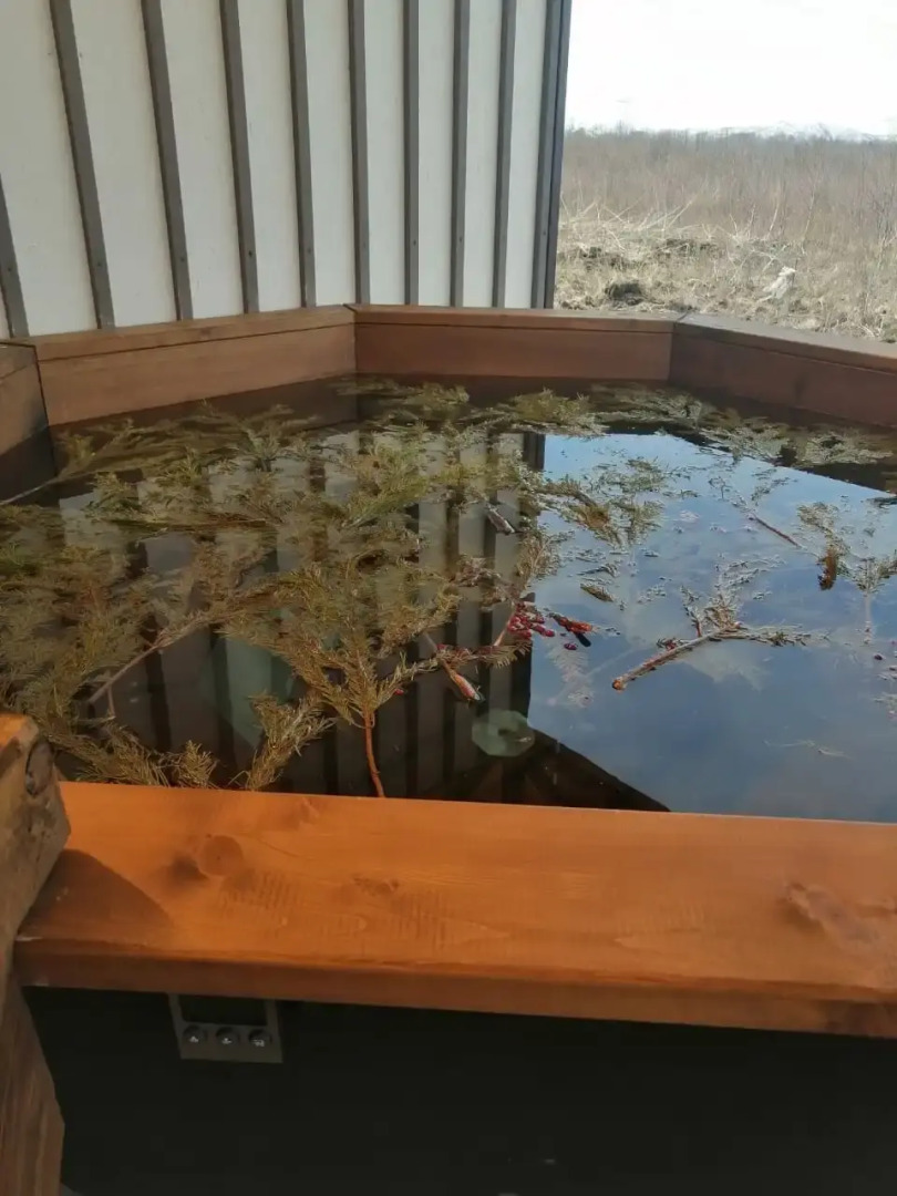 Частный дом У Авачи