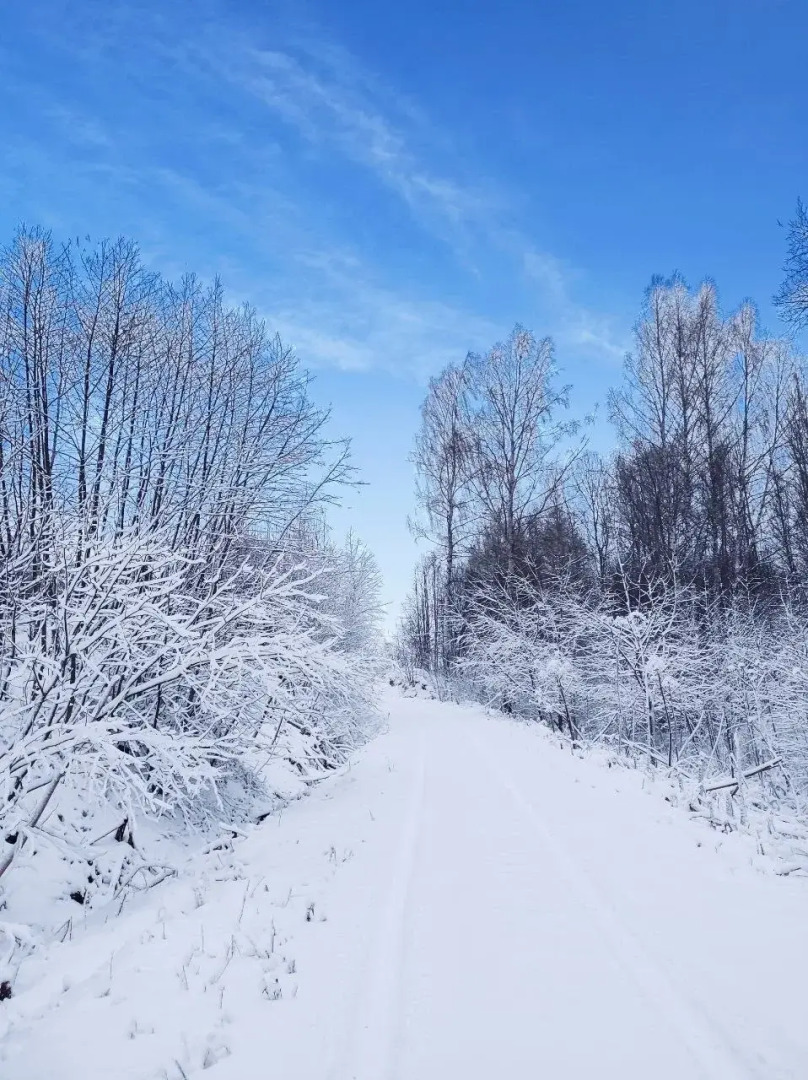 Частный Дом Шива