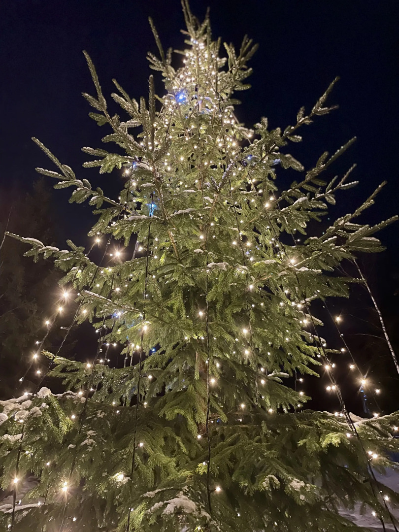 Частный Дом с Верандой в Лесу