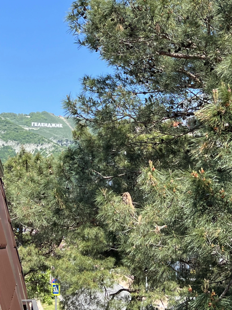 Геленджик Отель