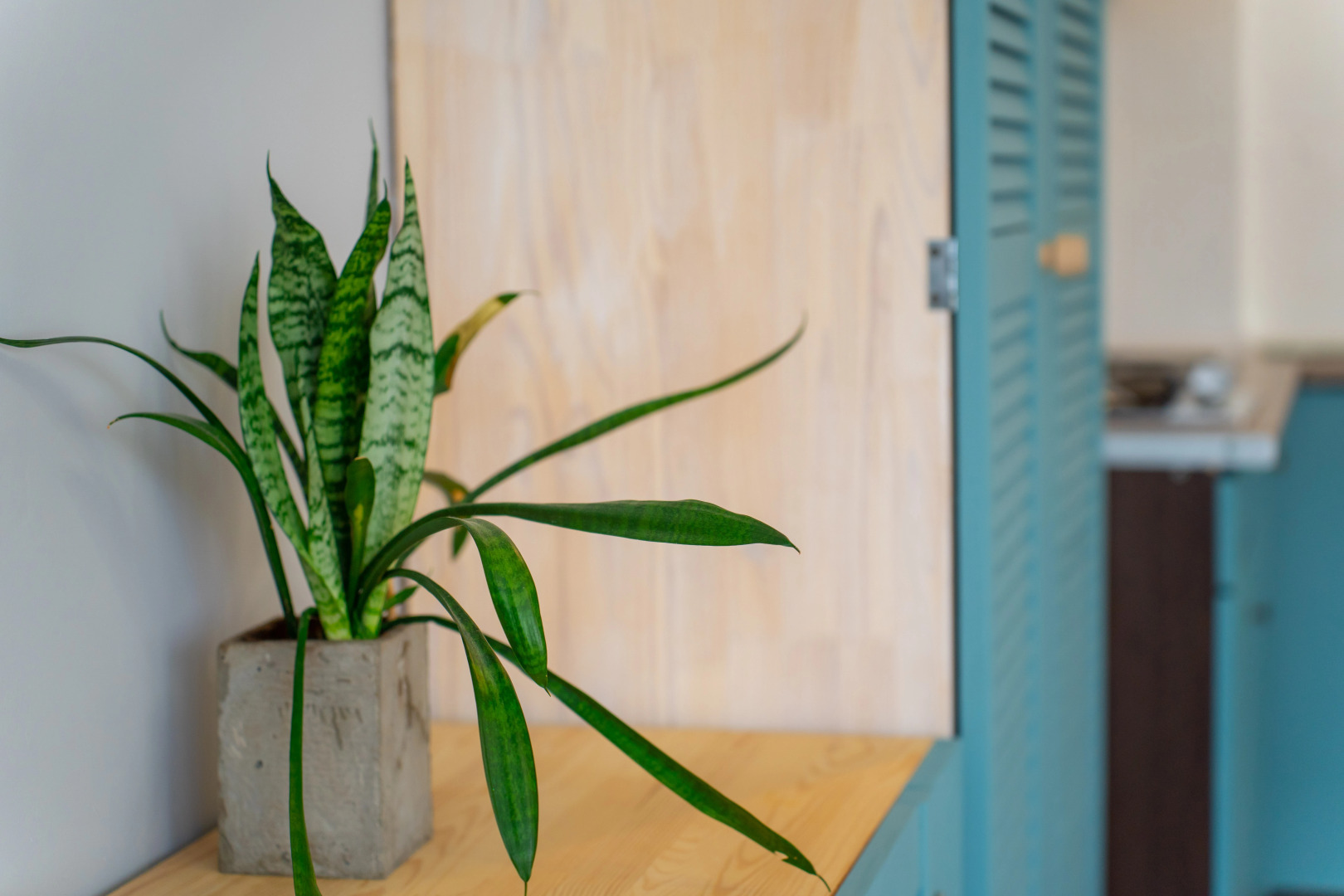 Апартаменты в Мысхако от LetoApart