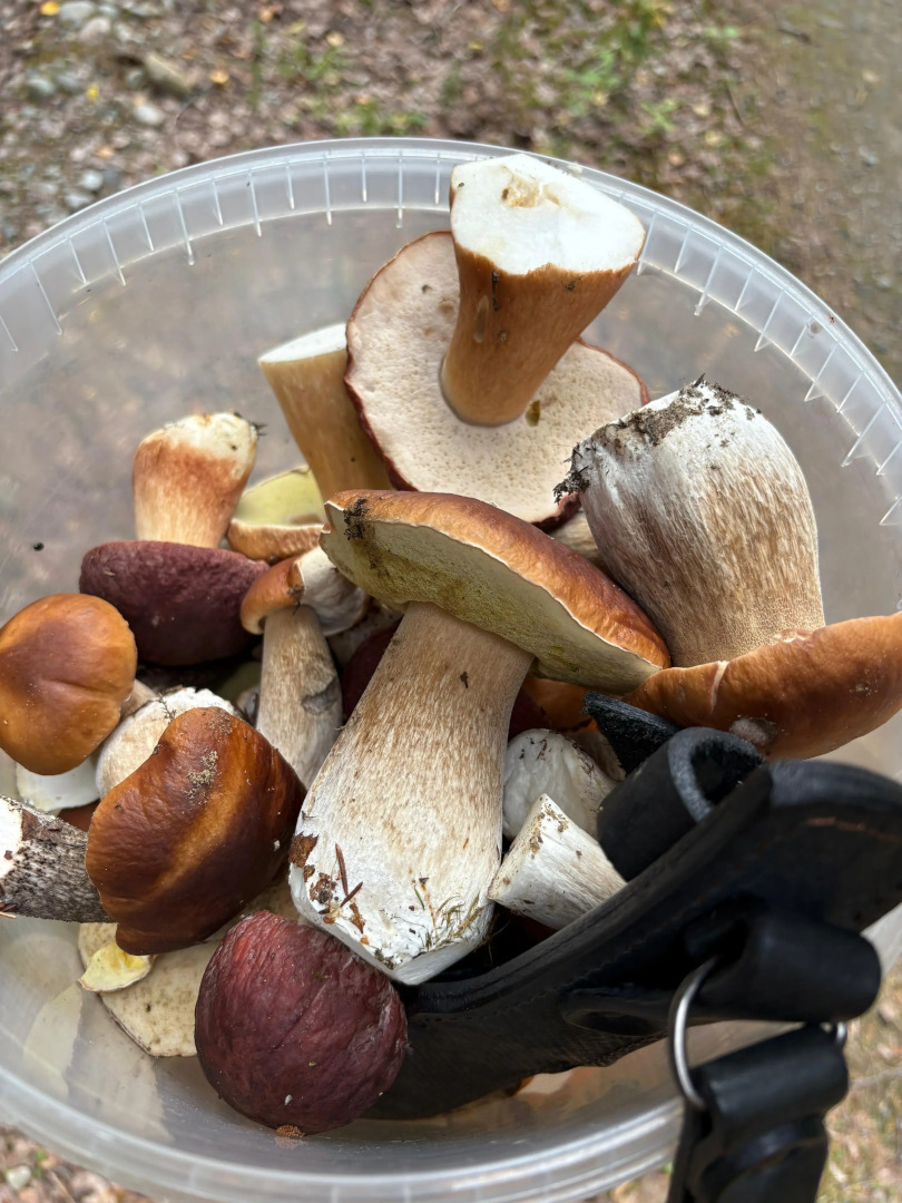 Шале у Озера