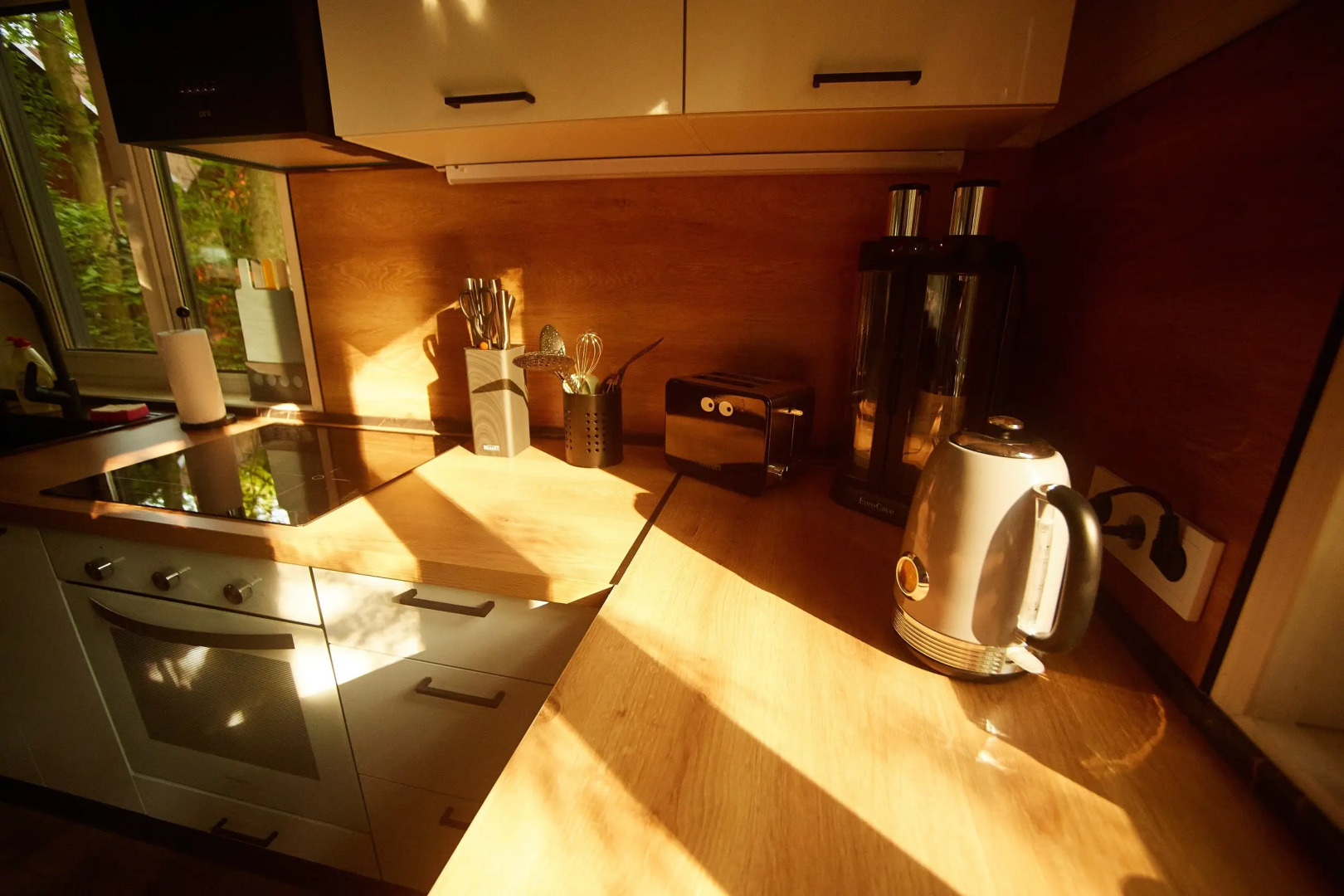 Частный дом Репинская дача на опушке красивого леса