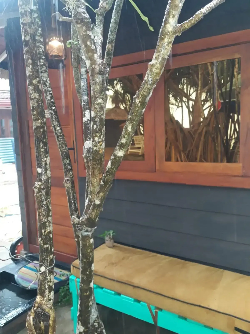 Мини-отель Tomorrowland Beach Villas & Fisherman's Wharf Restaurant