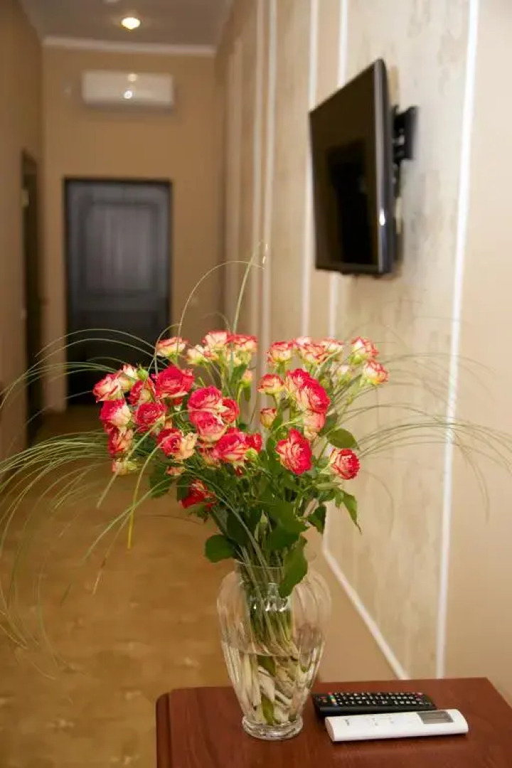 Гостиница Диоскурия