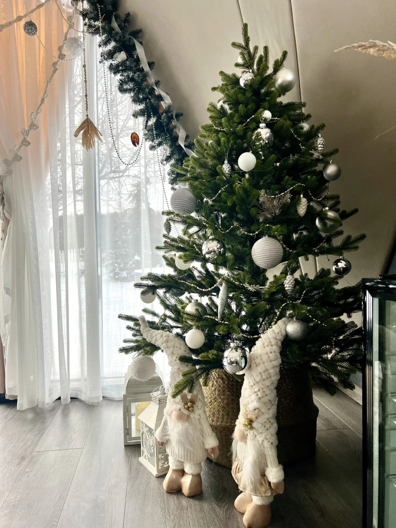 Гостевой дом ЭкоДром