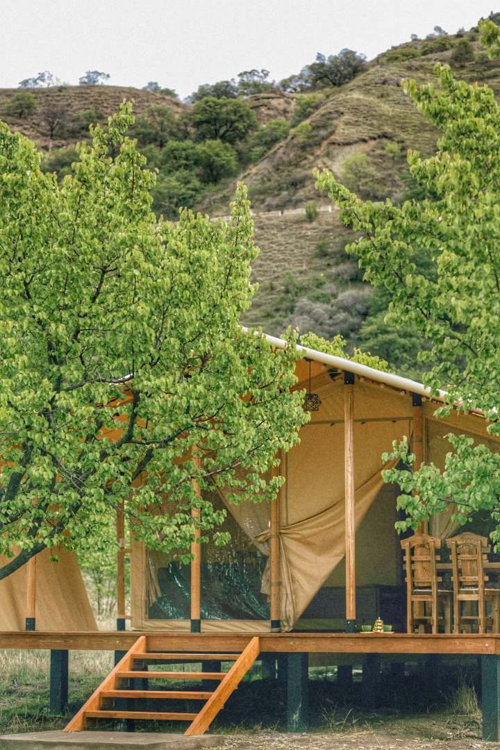 Сад Глэмпинг