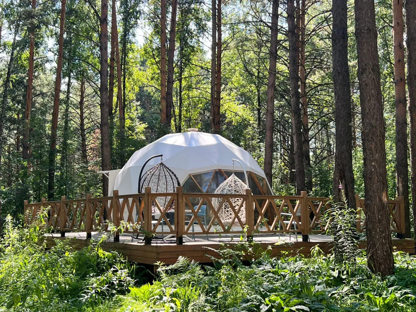 Парк-отель Хвоя