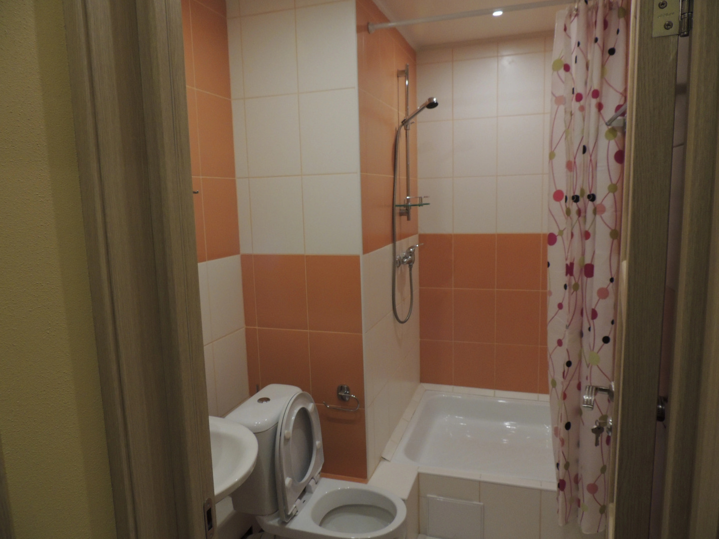 Отель Алекса