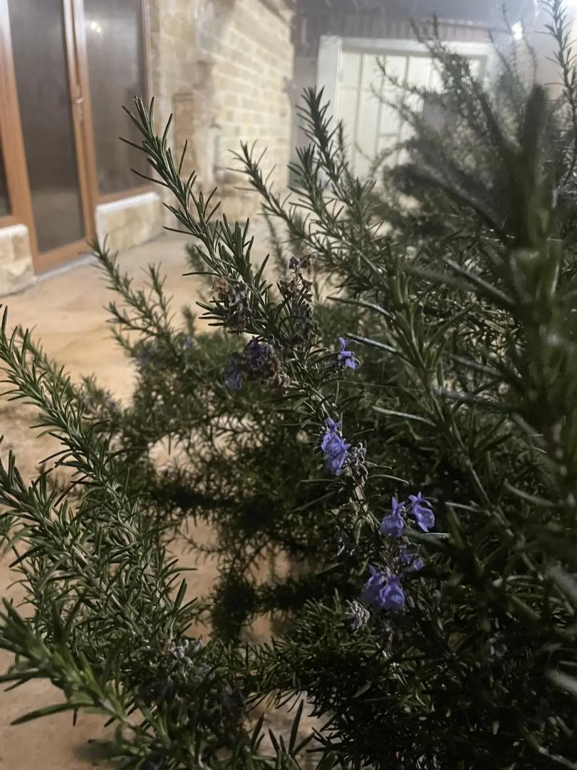 Частный дом ROUZ на Каспии для 6-12 гостей