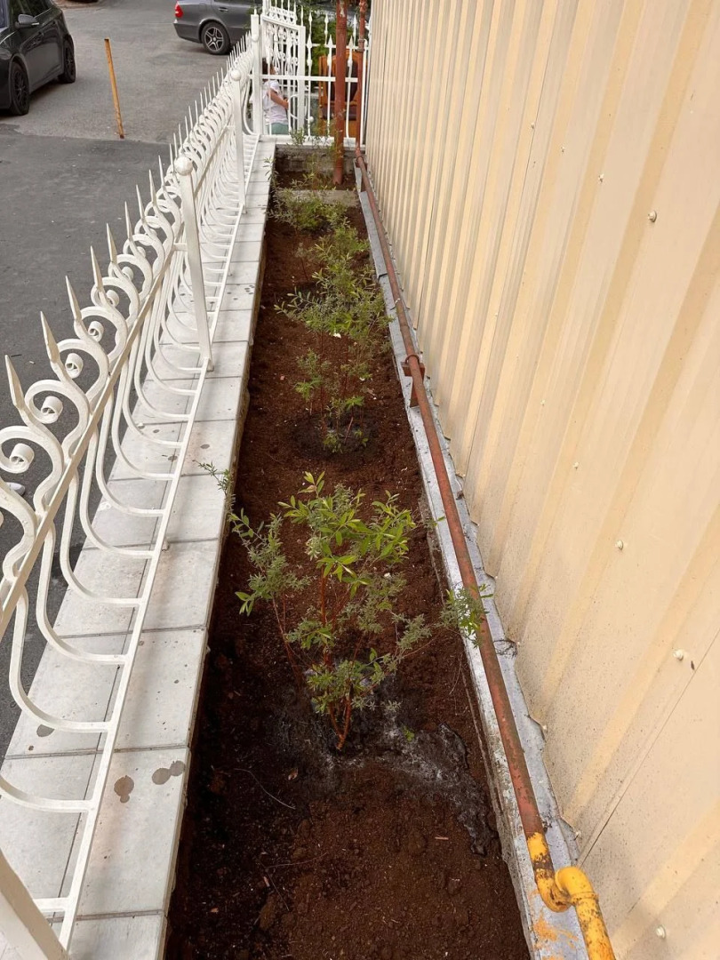 Апартаменты Family House Номер Felicita