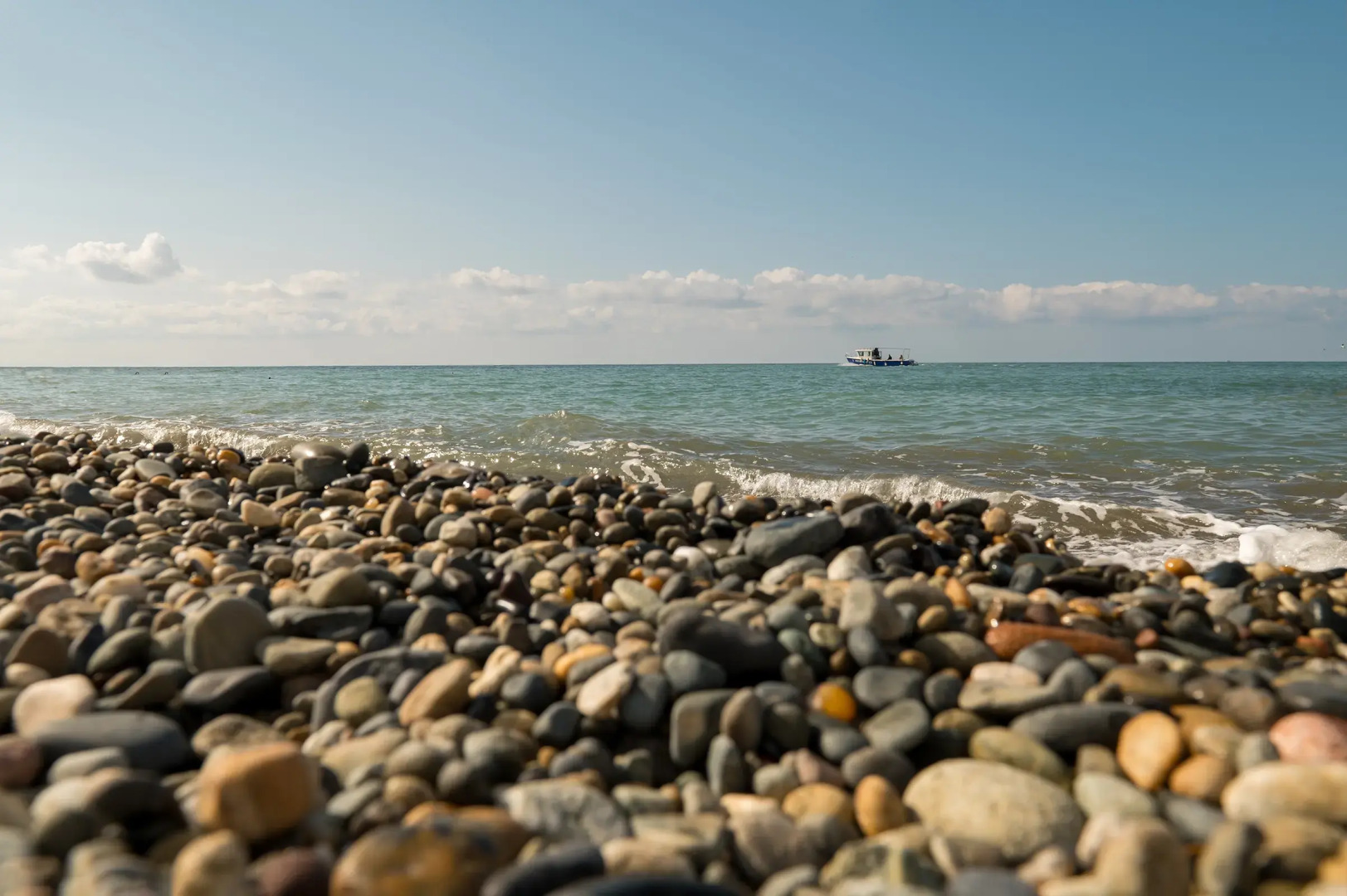 Апартаменты Студия у моря на Просвещения Летние ночи