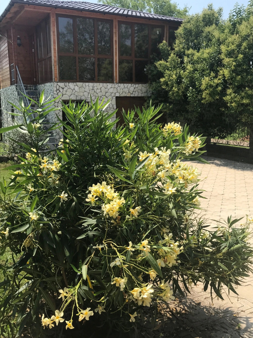 Вилла Апсуа