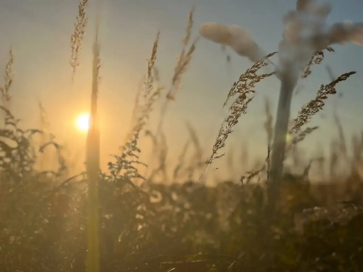Глэмпинг TinyDacha Можжевельник