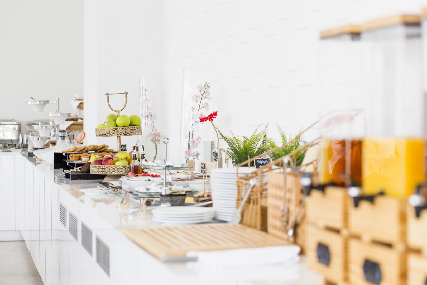 Отель Napa Suites