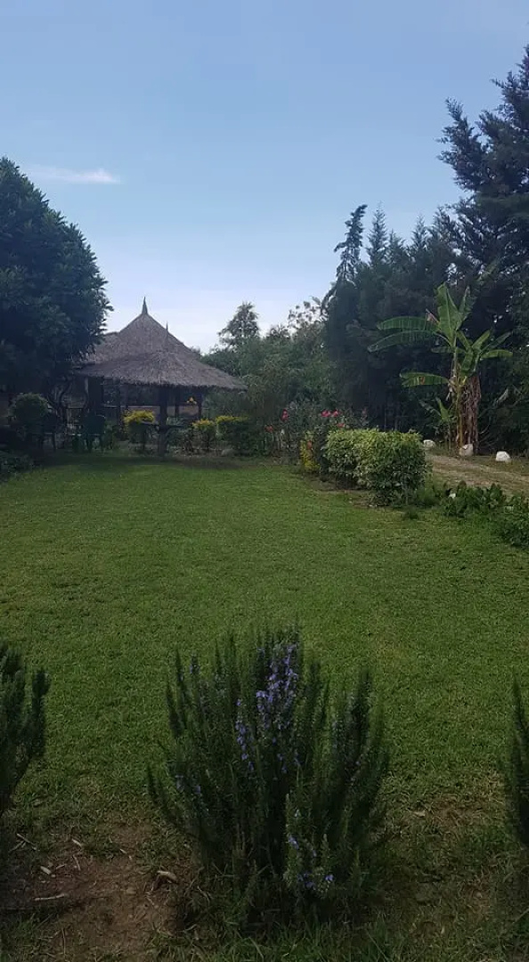 Отель The Great Circle Lodge