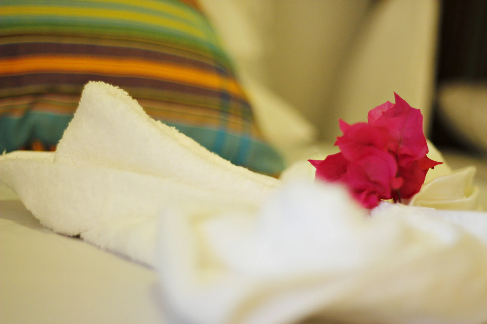 Отель Aya Beach Bungalows