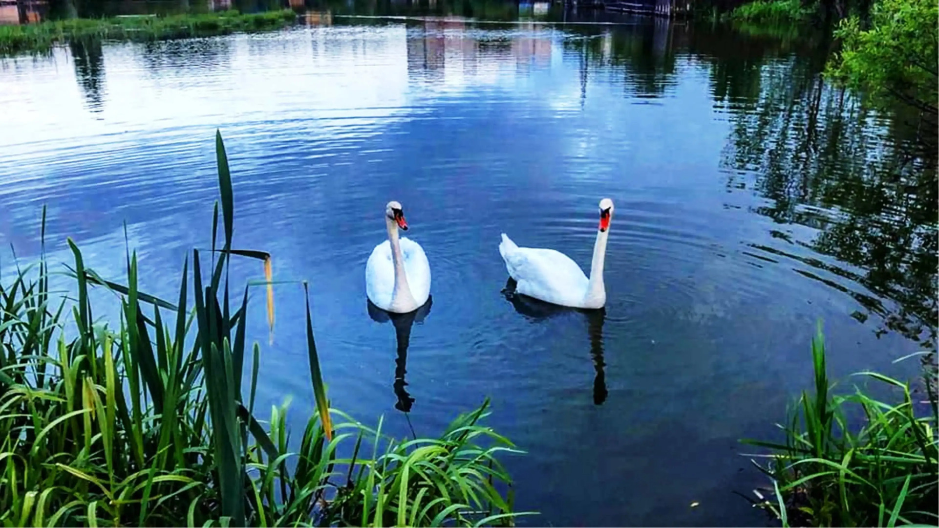 Квартира  MiHome Фантастические Закаты