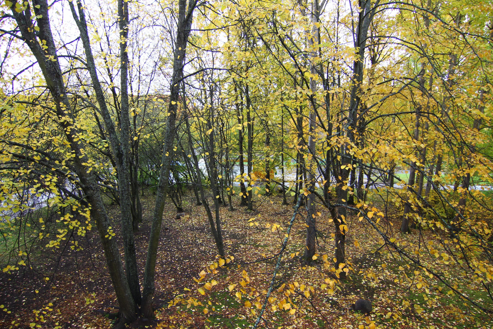 Квартира на Ул Красных Фортов 17