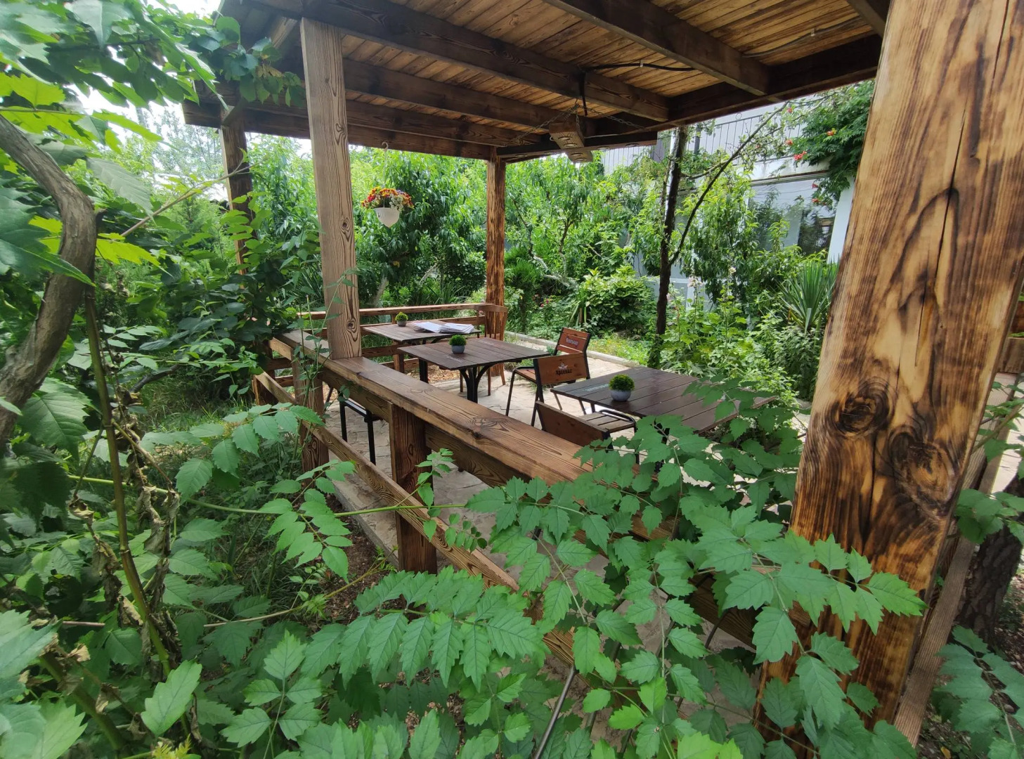 Гостевой Дом Fiolentovsky