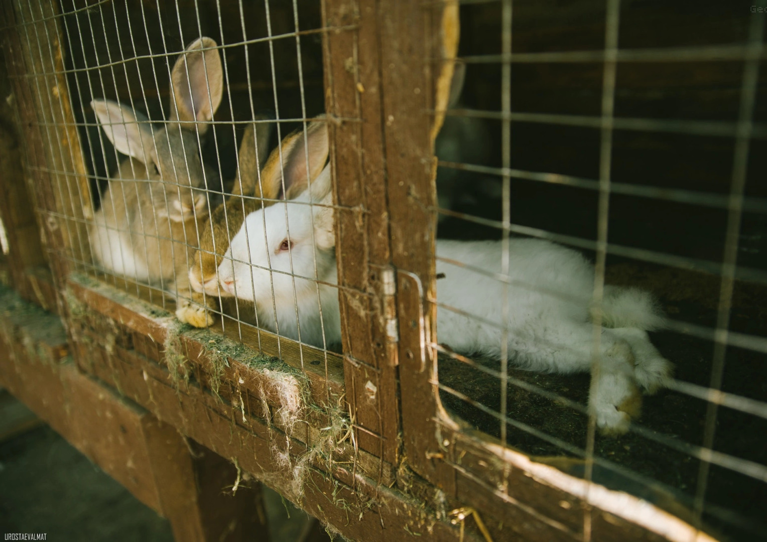 База Отдыха Рыболовно-Охотничья На Калиновке