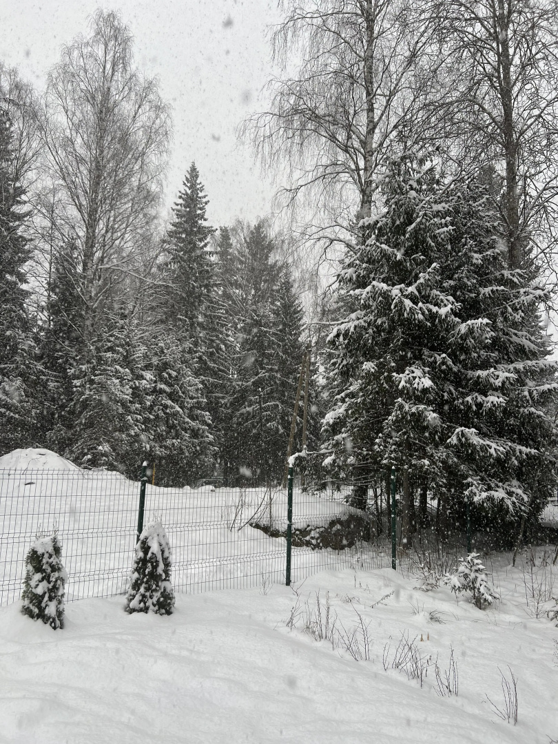 Частный дом SkandyVillage
