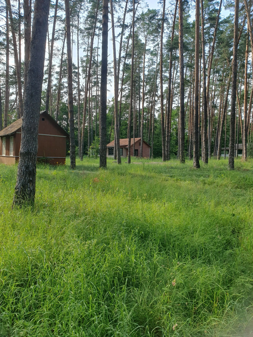 База отдыха Зеленый луг