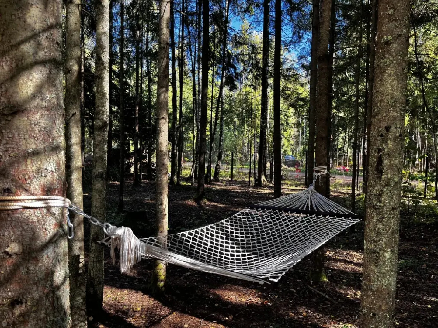 Гостевой дом Грибной домик на берегу Озера Волго на Селигере - коттеджи Сосновый бор