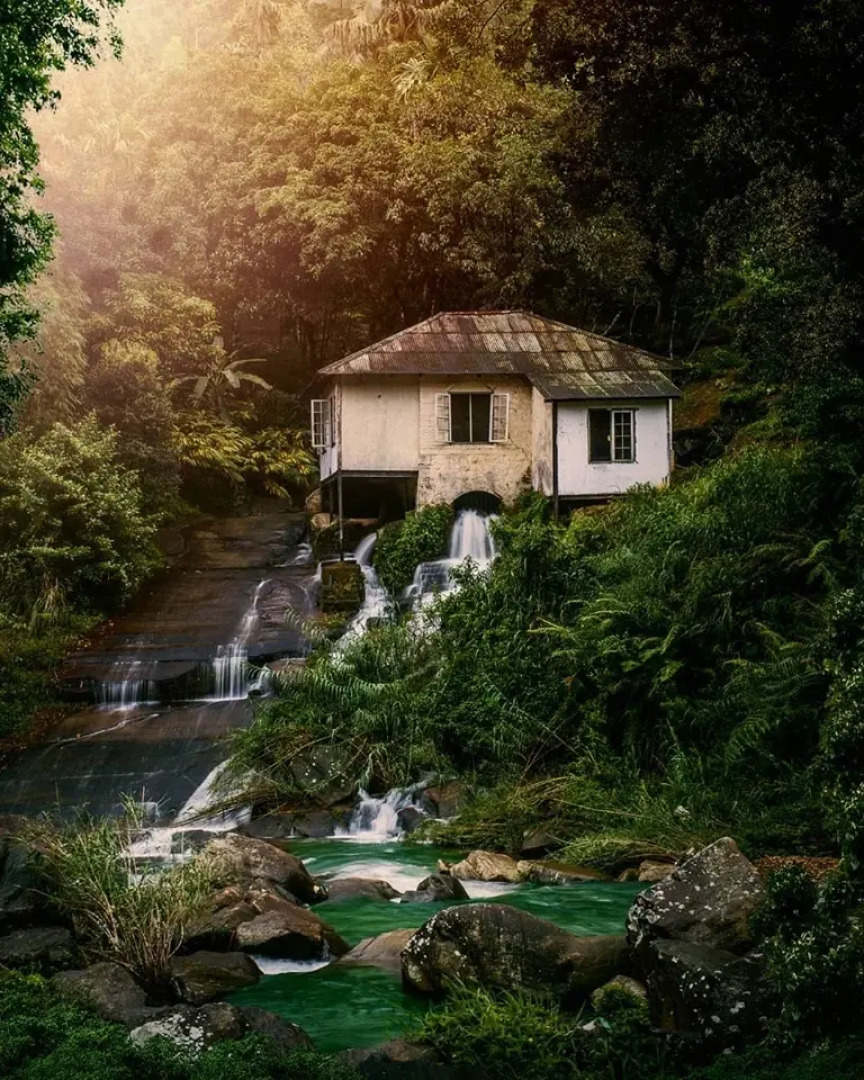 Отель The Tea Cottage Resort & Spa