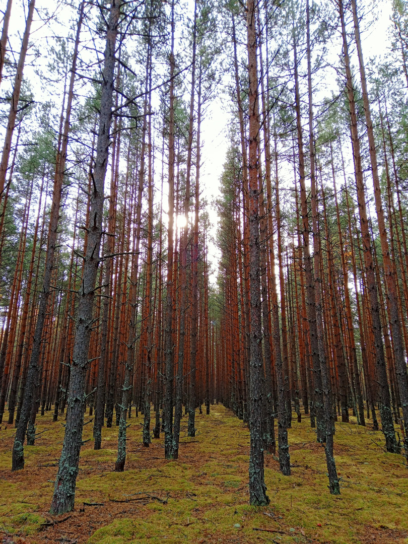 Частный Дом Дом-баня Гусь-хрустальный
