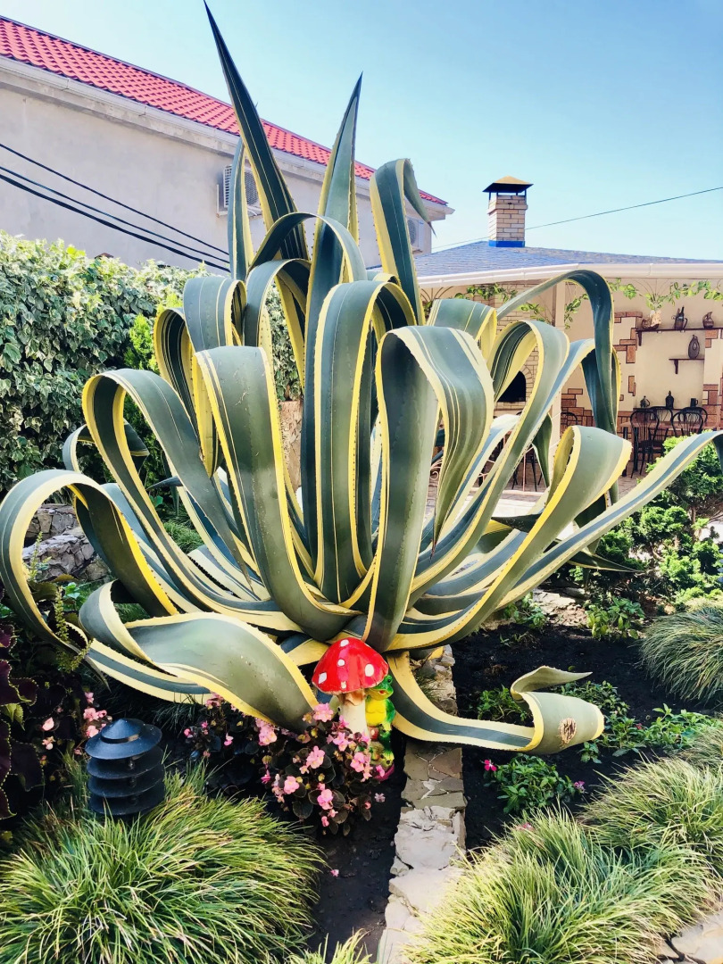 Гостевой Дом Голубая Лагуна