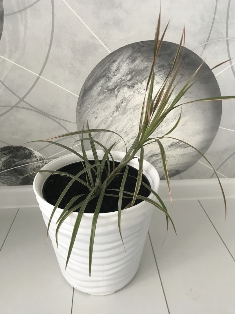 Апартаменты 1001 ночь на Разина