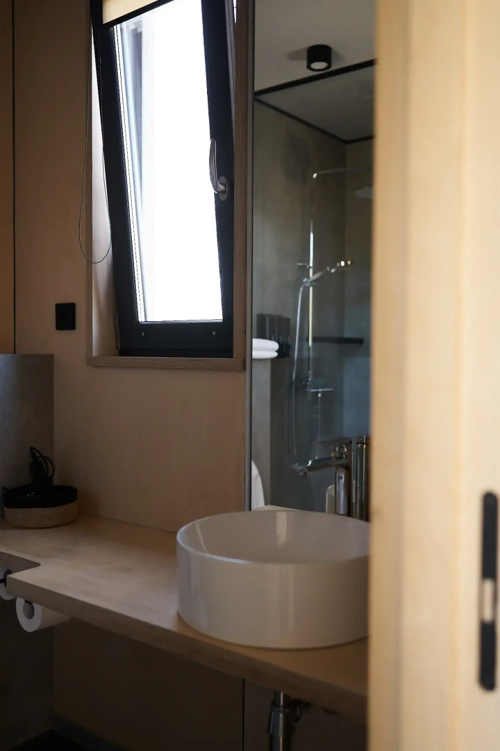 Снежные Гуси в Байкальске