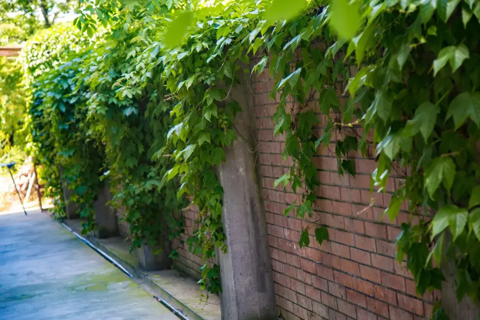 Гостевой дом Forest