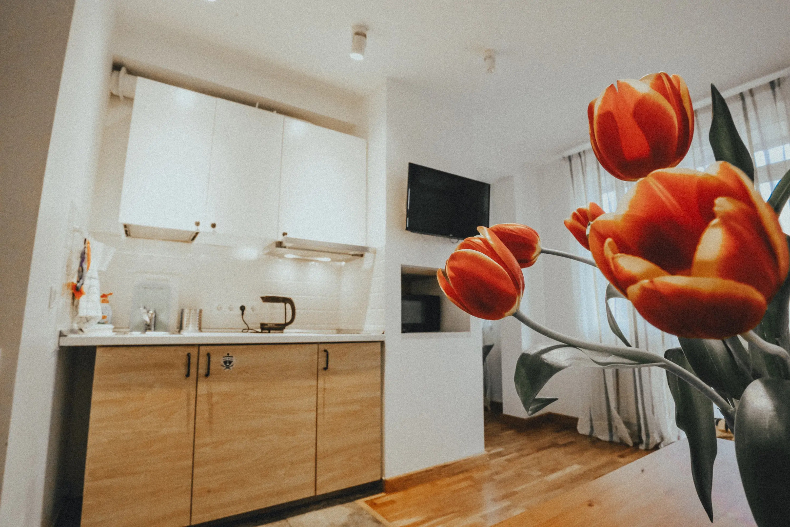 Апартаменты с Видом на Горы 2