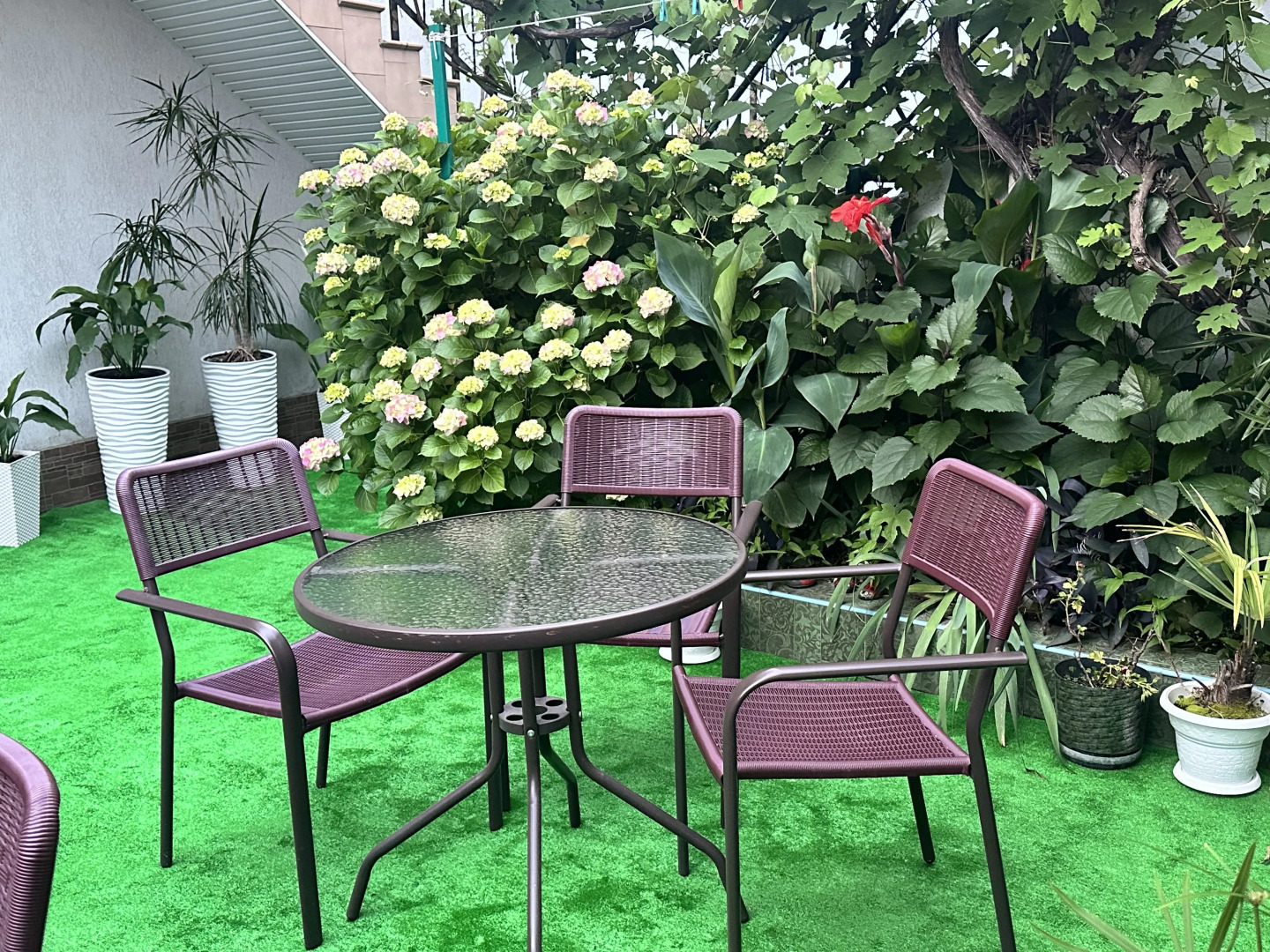 Меблированные комнаты в гостевом доме Кристина