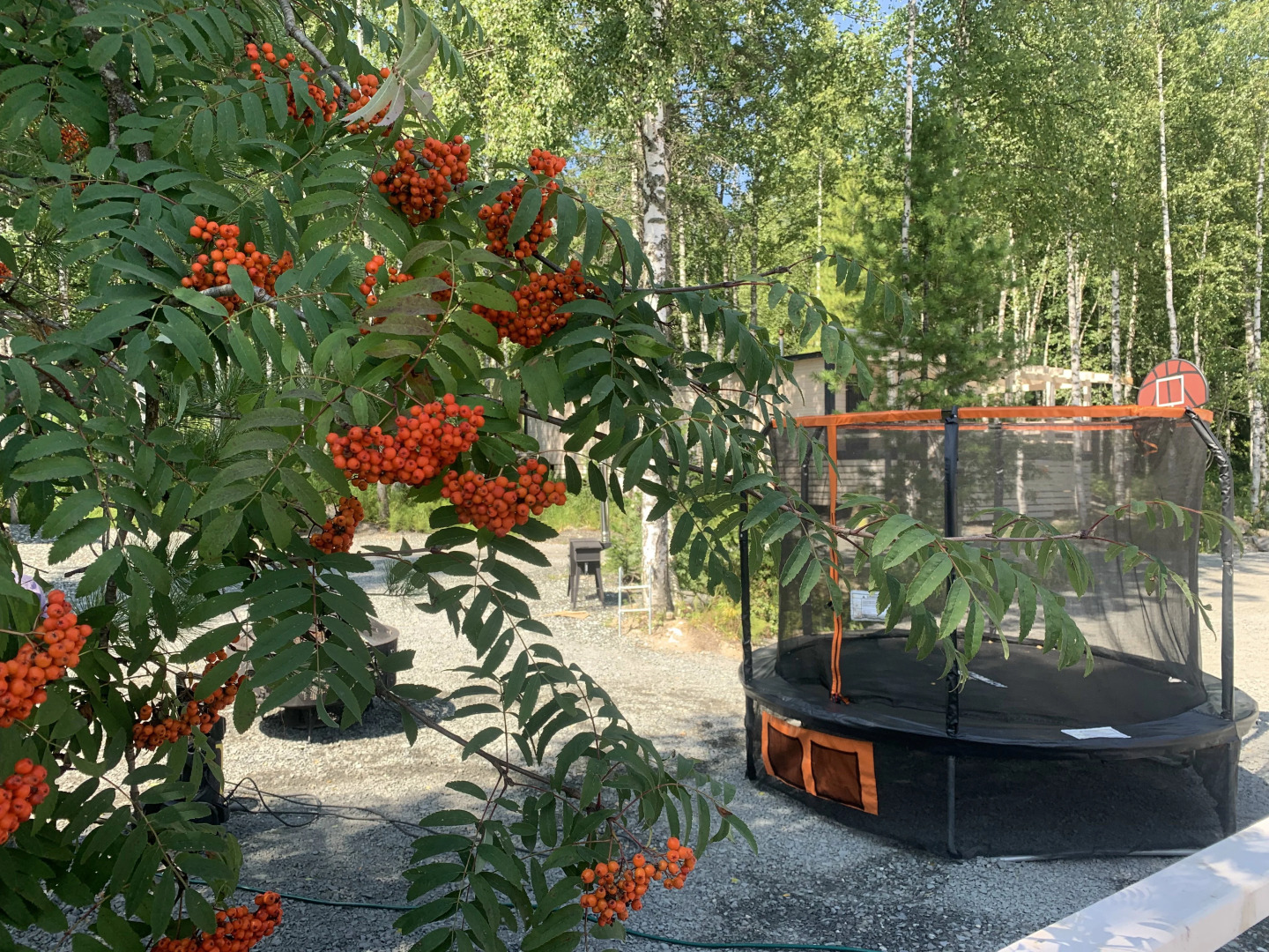 Частный Дом Брусника № 1