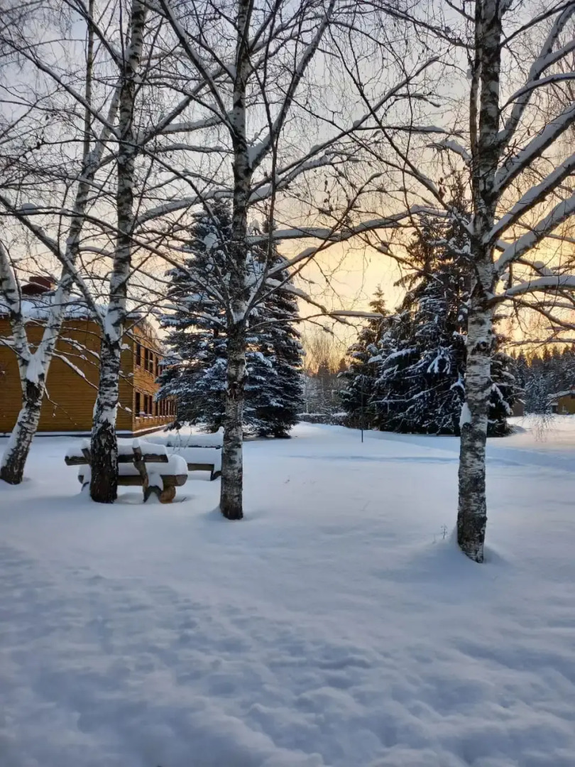 Отель Парк-отель Долина ИВолга