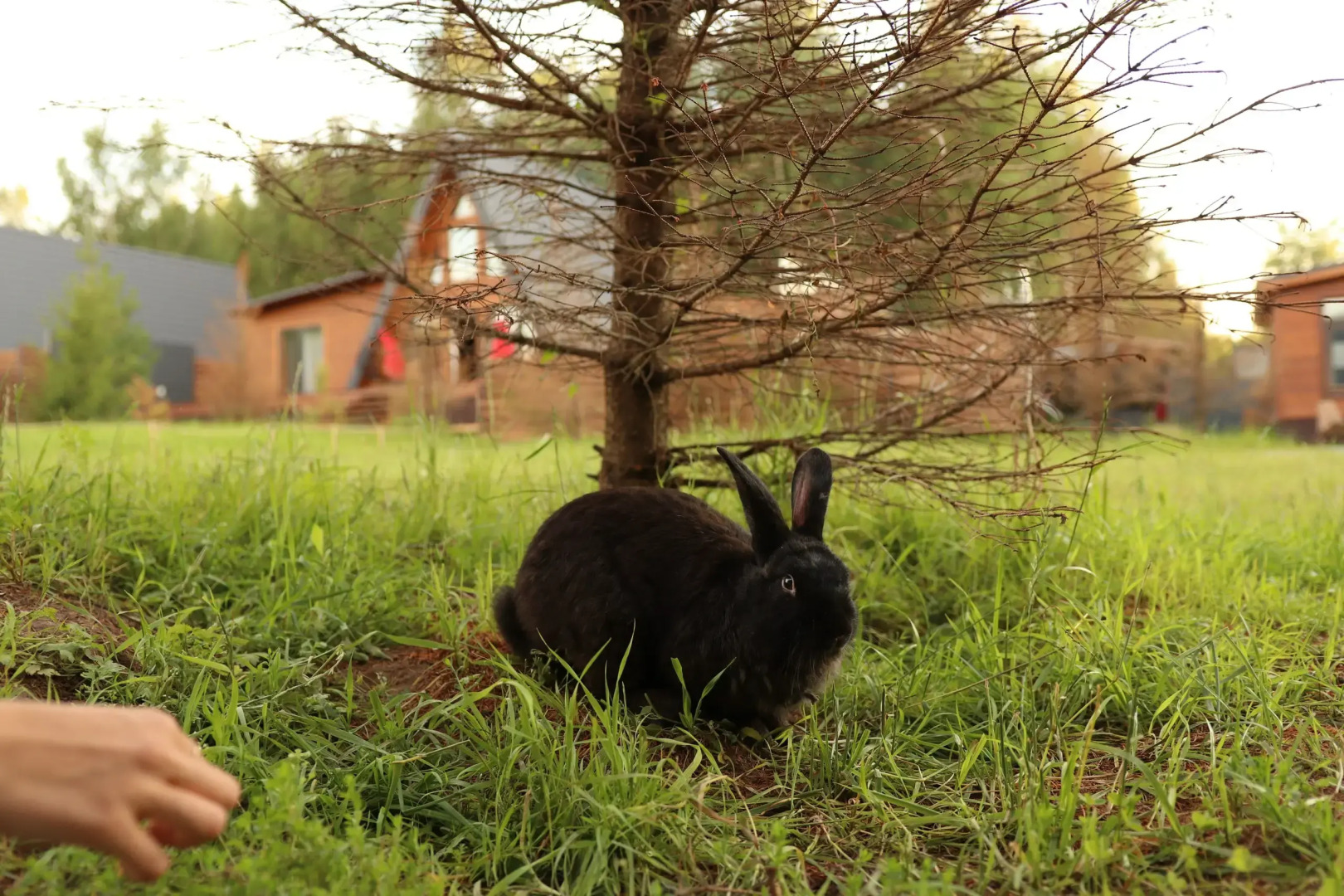 Шале Варилка