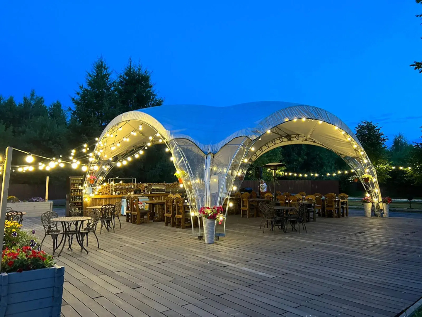 Отель Вилла Альпина