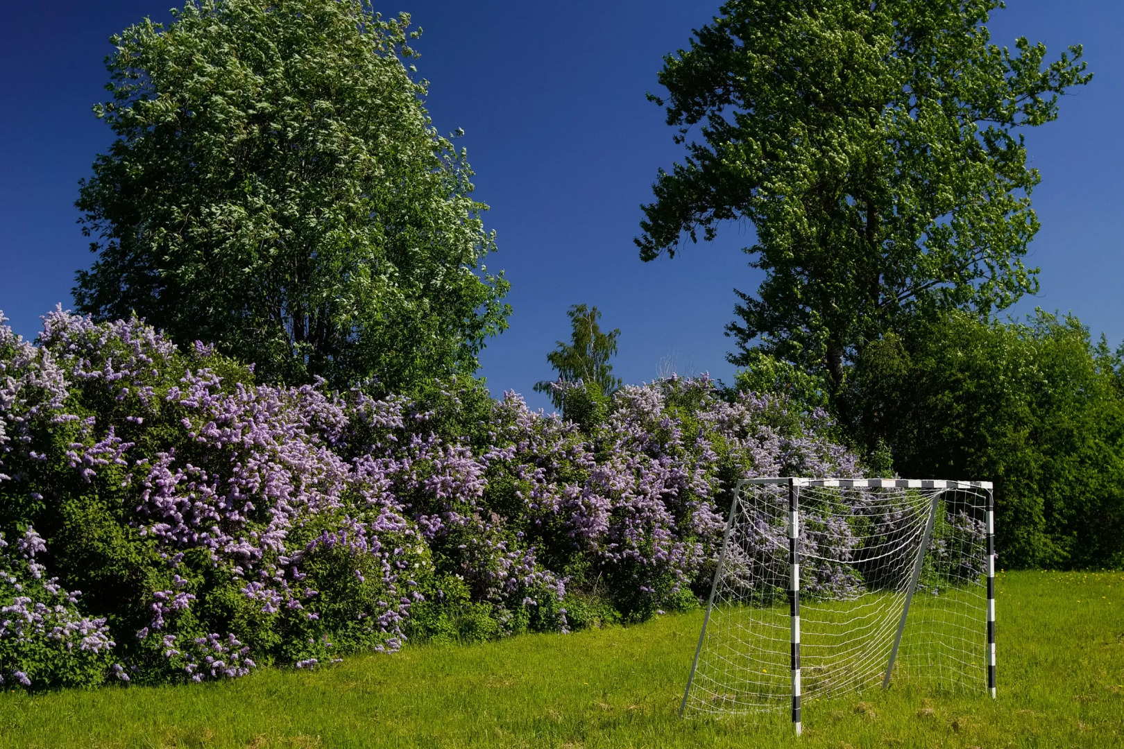 База Отдыха Староладожская Дача