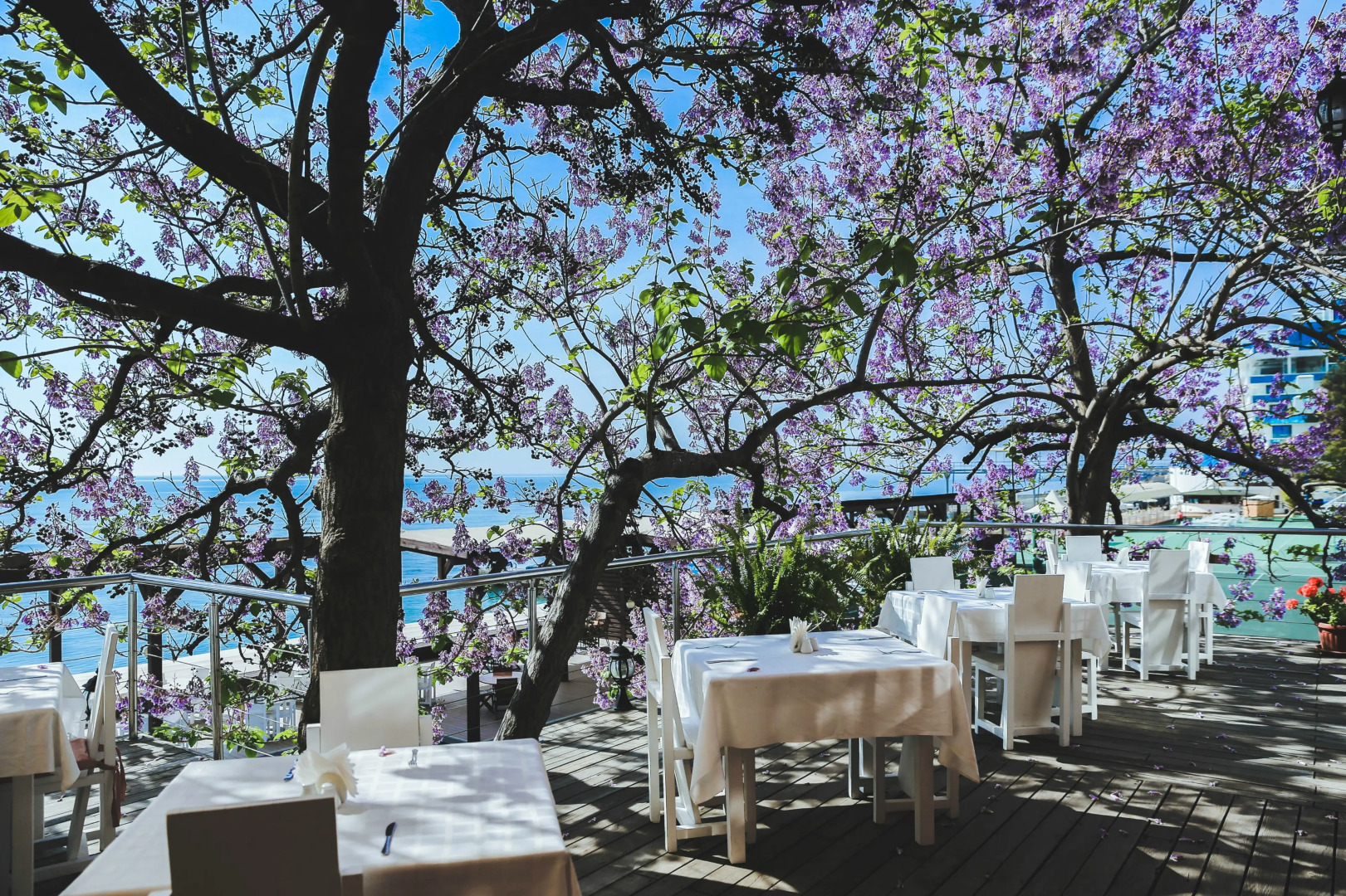 Отель Левант