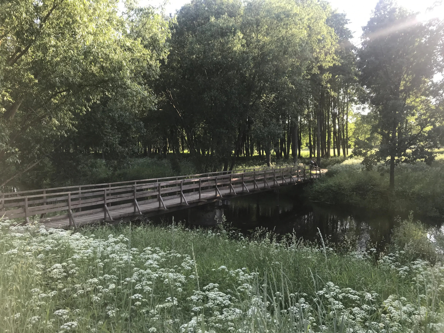 Отель Опочка