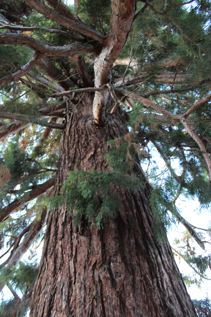 Отель Равенна