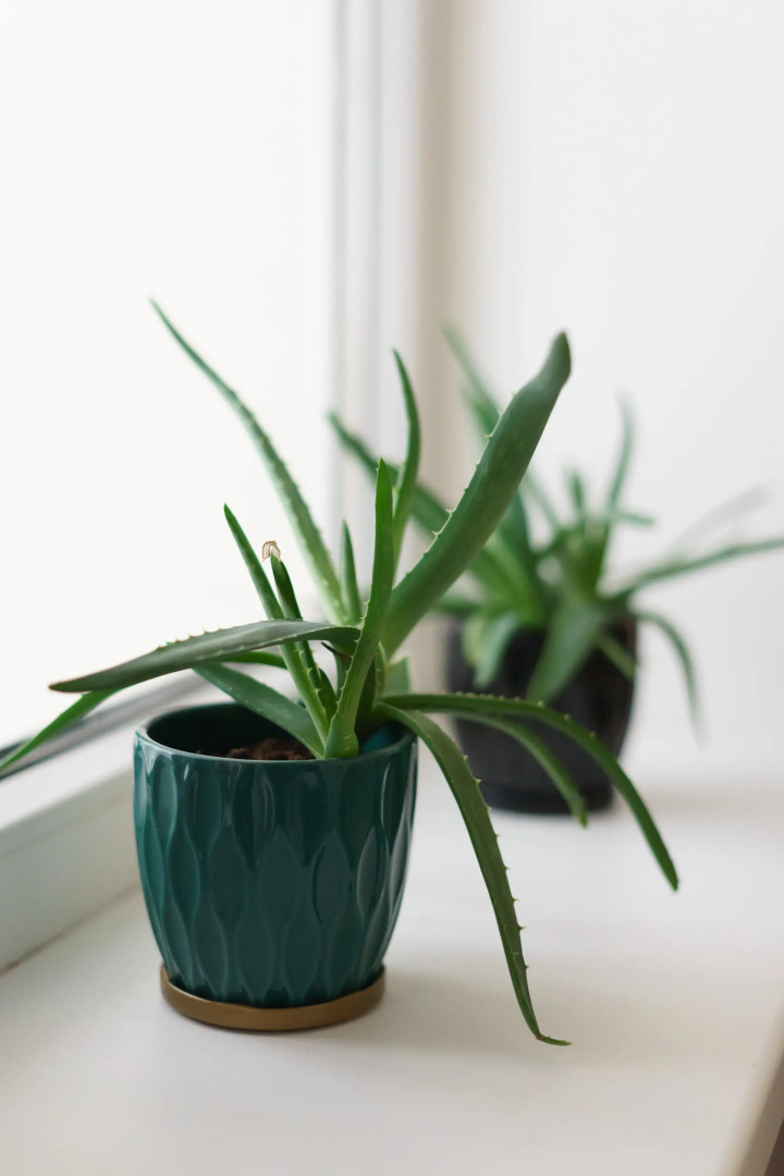 Апартаменты в центре