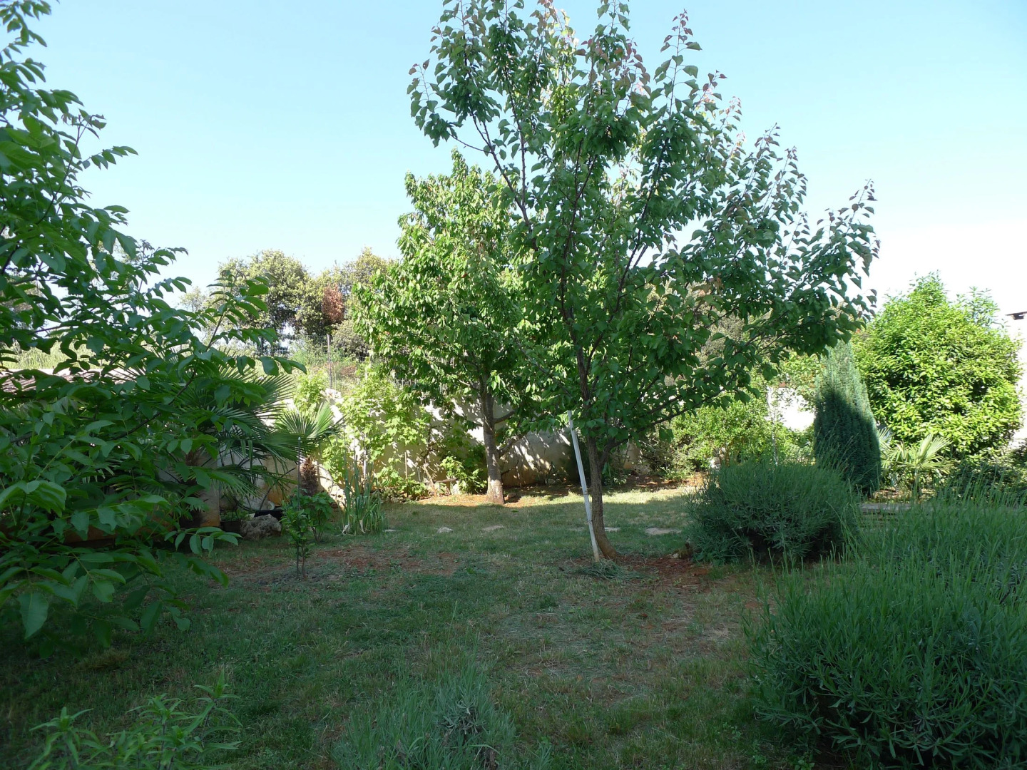 Апартаменты With Sea View