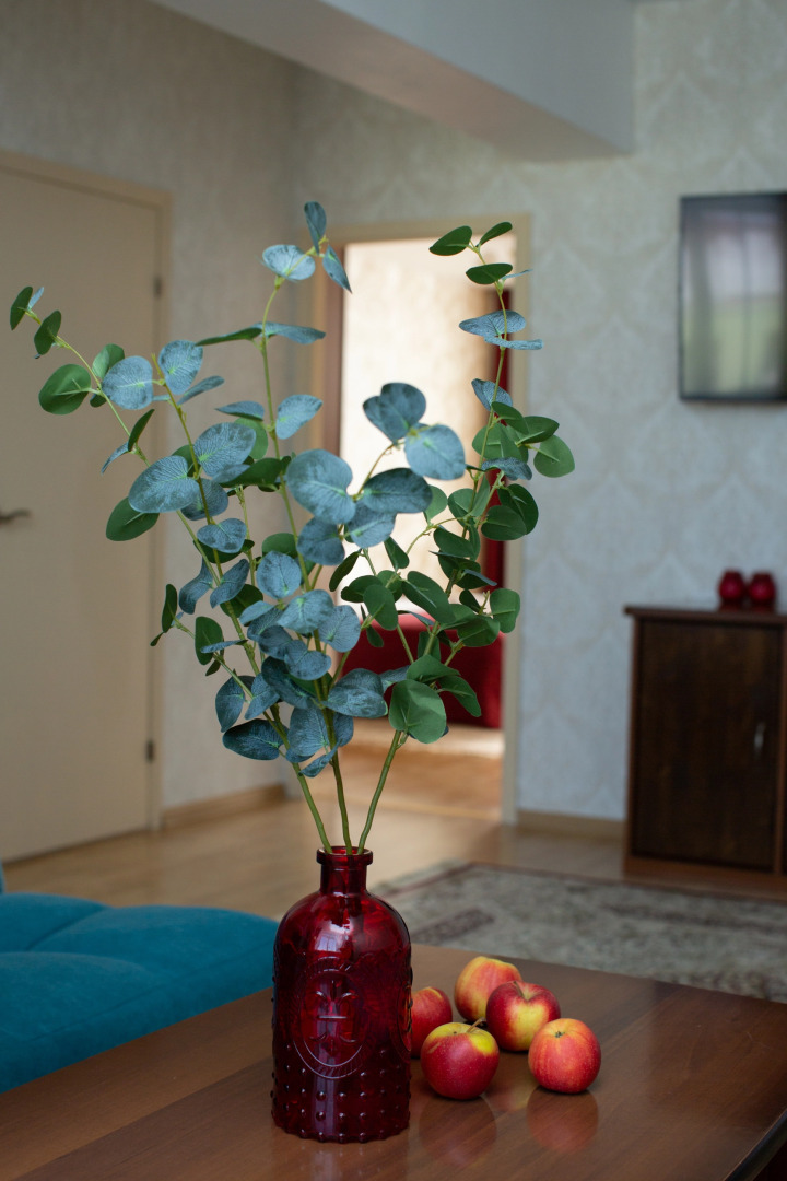 Апартаменты Спелая Вишня в Центре Города